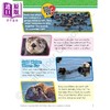 【中商原版】Evan Moor Animals Amazing Earth Adventures and Activities 奇妙的地球冒险动物10-11岁 美国教辅原版evanmoor 商品缩略图2