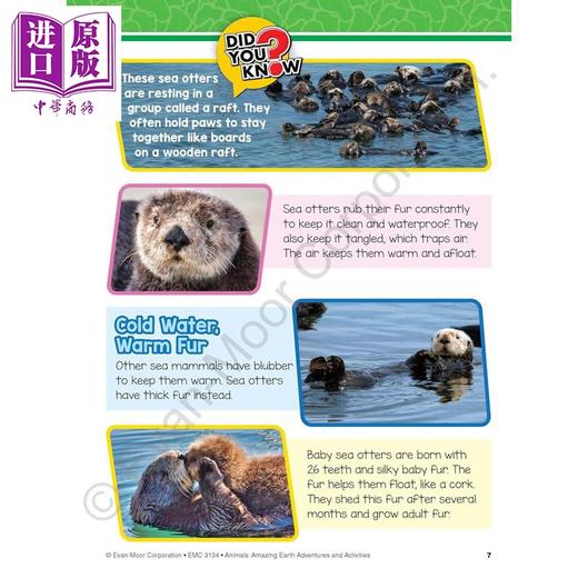 【中商原版】Evan Moor Animals Amazing Earth Adventures and Activities 奇妙的地球冒险动物10-11岁 美国教辅原版evanmoor 商品图2