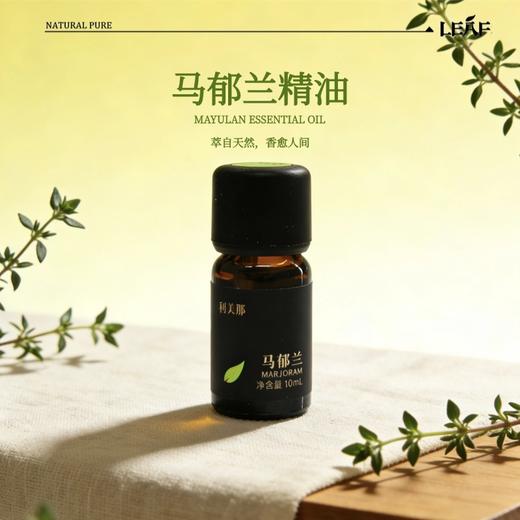 利芙耶[护芯组]—心心点灯香蜂草广藿香马玉兰安息香精油 商品图2