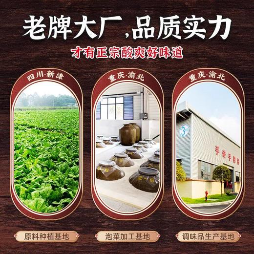 毛哥酸萝卜老鸭汤炖料老坛鱼酸菜重庆腌菜酸菜鱼专用免切洗调料包 商品图2