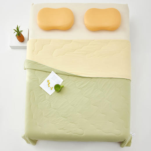 西域楼兰冰皮凉感丝双色蚕丝夏凉被【放心甄选】 商品图7