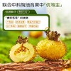 维C含量超高！【NFC原榨 种植生产双有机 配料表只有有机刺梨原汁】初好有机刺梨原浆50ml*10袋/盒*2盒 商品缩略图2