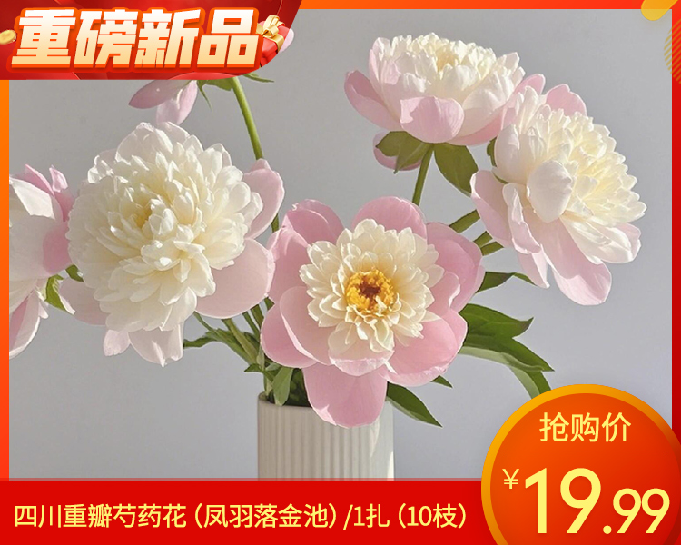 【预售-4月20日配送】四川重瓣芍药花（凤羽落金池）/1扎（10枝）