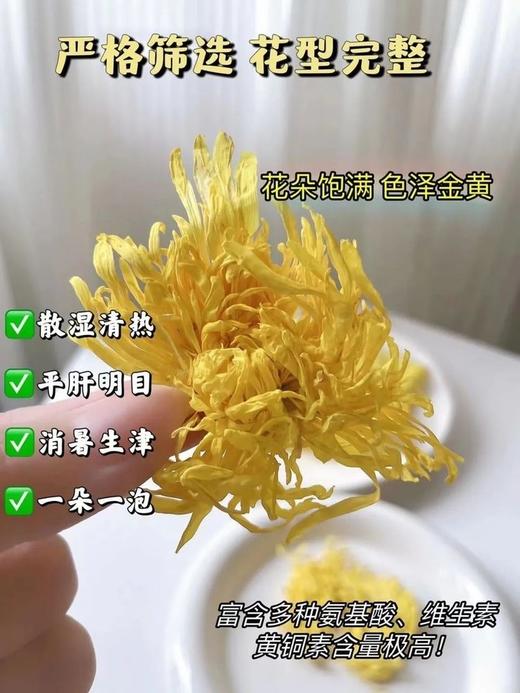 二店f 杞里香金丝皇菊 商品图5