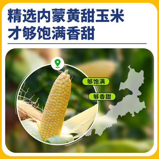 美国厨师玉米粒罐头400g烘焙披萨沙拉速食香甜新鲜玉米粒即食 商品图1