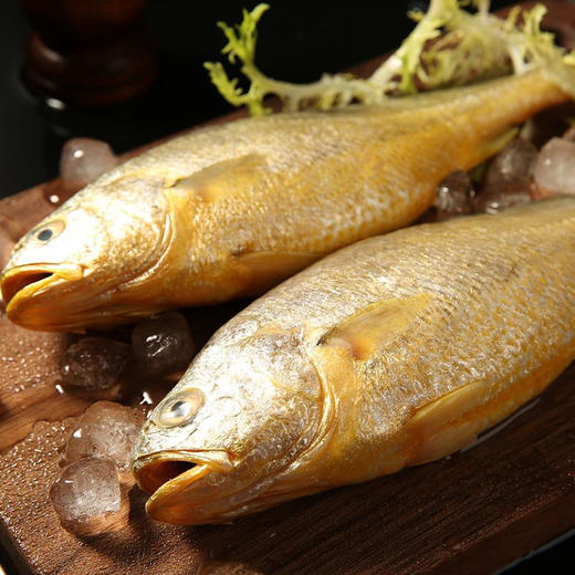 1288型-遨游四海海鲜 商品图2