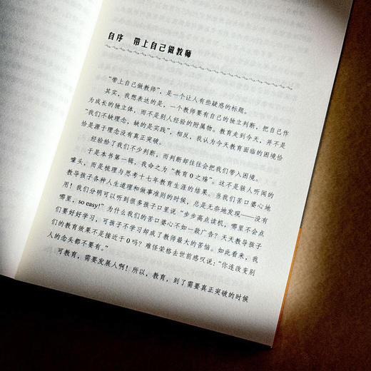 特立独行做教师 大夏书系 教育新思考 德育专家张万祥老师作序推荐 中小学教师教育理论 商品图6
