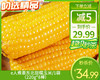 e人煮黍东北甜糯玉米/1袋（220g*8棒）生产日期：26年1月 商品缩略图0