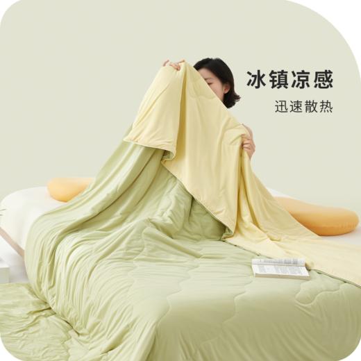西域楼兰冰皮凉感丝双色蚕丝夏凉被【放心甄选】 商品图0