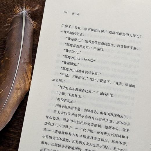 猴命:揭秘农村养老困境之书 老年版'活着' 商品图4