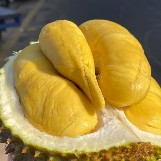 【顺丰空运】马来西亚进口鲜果猫山王榴莲  A果/AA果整果 商品图0