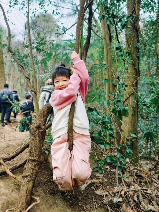 4.18已成团！彭州老鹰岩摘樱桃、挖笋、藤蔓秋千、木梯攀爬、绳索攀登、石板滩速降～ 商品图13