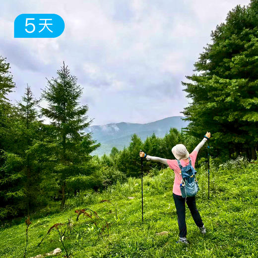 长白山脉秘境穿越 | 北坡天池 原始森林 15公里轻徒步 | 5日 商品图10