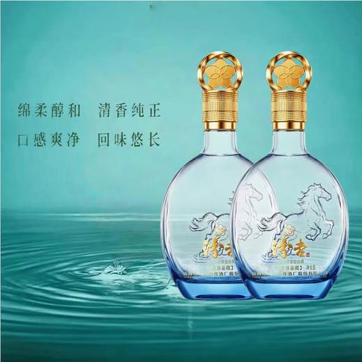 【酒体清冽绵甜 礼盒装送酒具】汾杏清雅鉴藏（马）清香型白酒礼盒装53度475ml*2 商品图1