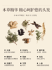 古方本草洗发水300ml 清爽去屑控油防脱固发 草本植萃洗发液 商品缩略图5
