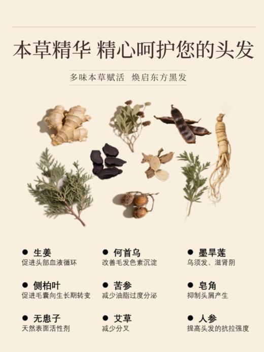古方本草洗发水300ml 清爽去屑控油防脱固发 草本植萃洗发液 商品图5