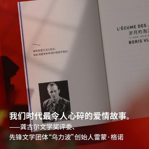 岁月的泡沫（波伏瓦、加缪的密友，法国文坛鬼才书写爱情霍乱！科塔萨尔、鲍德温盛赞！ 商品图6