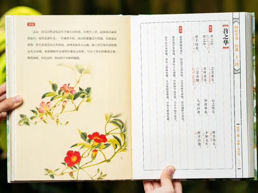 《唐诗宋词诗经·纪念套 》【无刷边】，赠：藏书票4、别册2、画册1、思维导图2， 商品图11