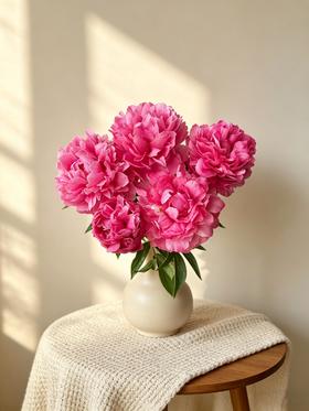 【预售！4.20起陆续发出】小丑【人间四月天，芍药铺庭前】简小姐精选粉色新品 小丑5枝 2件顺丰包邮