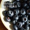 【花果香蓝莓 特别福利】口感酸甜 满满花青素 颗颗饱满新鲜 自带果霜 ~ 商品缩略图3