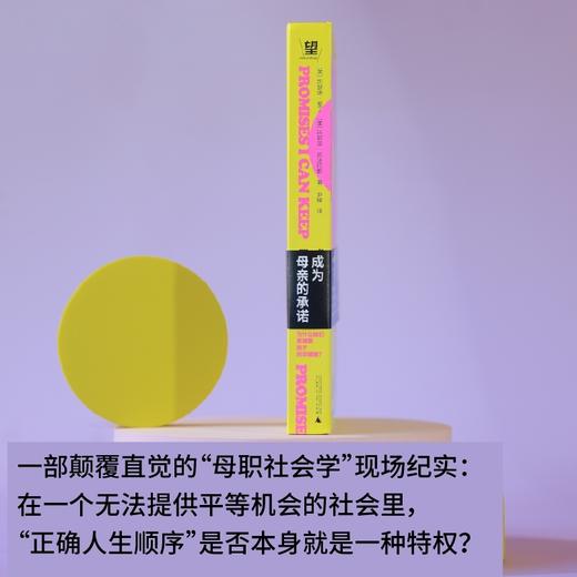 成为母亲的承诺：为什么她们更想要孩子而非婚姻？（基层女性为何选择“去父留子”？倾听162位贫困母亲的真实声音，可能与你想的不同） 商品图5