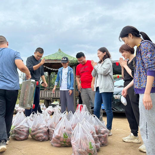 密云红薯地2026年开始认领啦！限量300块  先到先得 认领30㎡/块  农耕体验乐趣多！ 商品图7