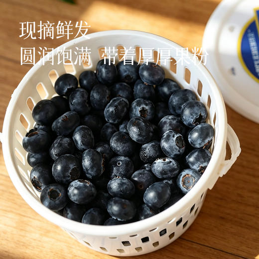 【花果香蓝莓 特别福利】口感酸甜 满满花青素 颗颗饱满新鲜 自带果霜 ~ 商品图2