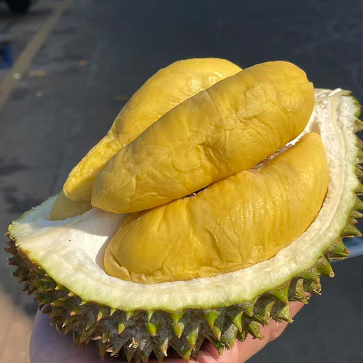 【顺丰空运】马来西亚进口鲜果猫山王榴莲  A果/AA果整果 商品图1