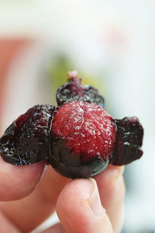 第十一年订单式种植【云南夏黑葡萄】无籽或少籽，不打膨大剂，多挂树20天采摘，风味十足（72小时内发货） 商品图11