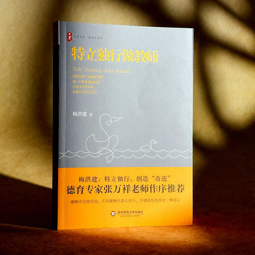 特立独行做教师 大夏书系 教育新思考 德育专家张万祥老师作序推荐 中小学教师教育理论 商品图3