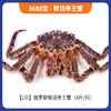 3688型-鲜活帝王蟹 商品缩略图0