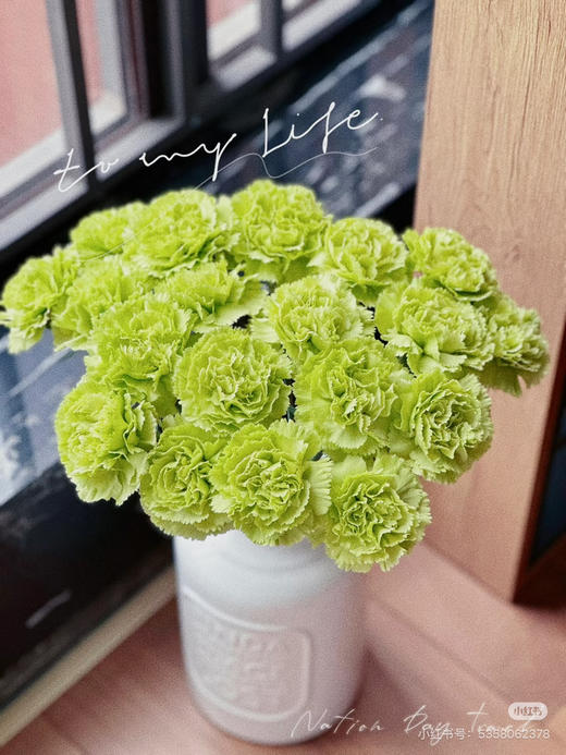 预售15号到货 绿色康乃馨一扎20支 支长60厘米 商品图1