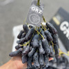 石家庄优选仓库速达，澳洲黑手指 黑提GRZ，果肉颗颗饱满，皮薄脆甜，高甜无籽，2斤散装称重 商品缩略图1