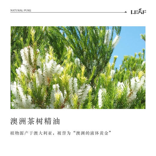 利芙耶  [心宁悦]精油组合 茶树薰衣草佛手柑 商品图2
