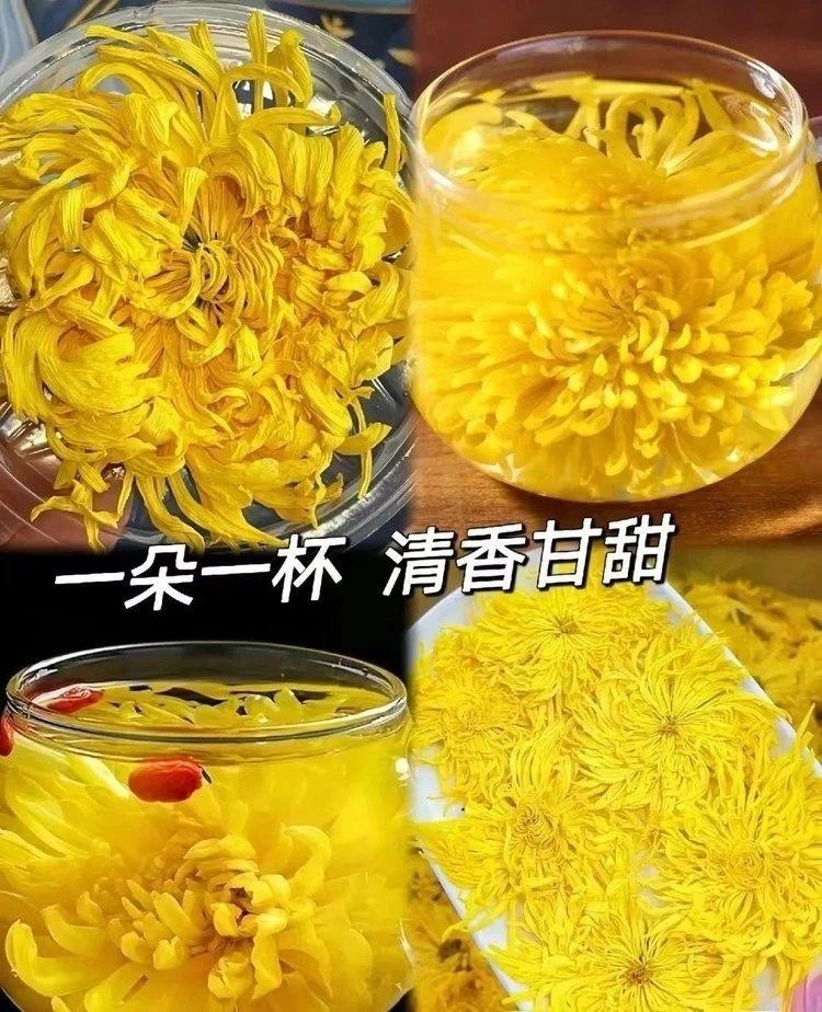 二店f 杞里香金丝皇菊