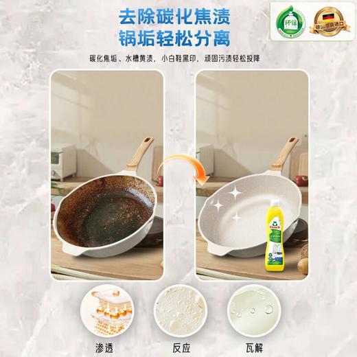 Frosch 柠檬不锈钢/陶瓷多用途清洁剂500ml 商品图6