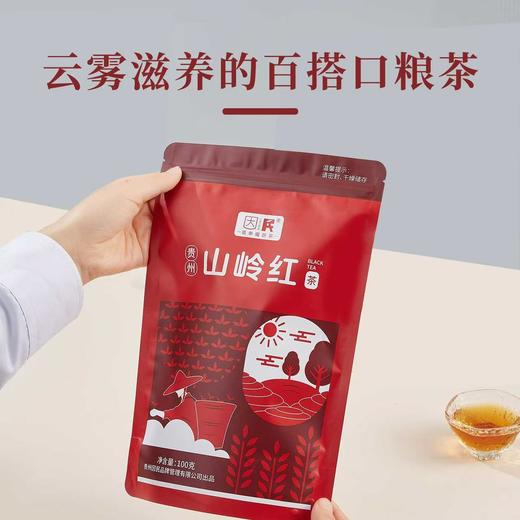 册亨县 册亨优选 贵州山岭红茶100g/袋 商品图0
