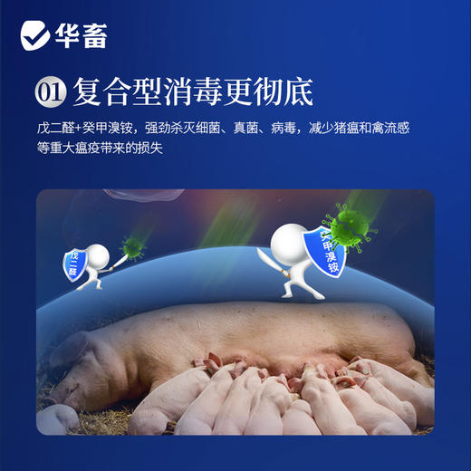华畜兽药 戊二醛癸甲溴铵溶液 复合型消毒更彻底 协同增效 抗干扰 渗透性强 商品图1