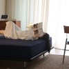 VCIEL韦莎 深睡眠亲肤床笠 亲肌层 + 再生纤维素纤维 触感柔软 透气吸湿 睡觉不闷汗 分区包裹 商品缩略图5