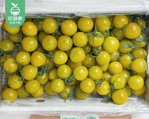 西双版纳青甜番茄/1盒（1kg±50g） 商品图4