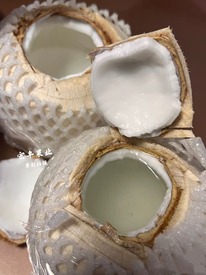【宏丰精选】泰国椰青   泰国进口新鲜椰青 需要开口备注留言好  活动价9.9一个