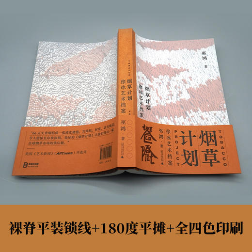 烟草计划：徐冰艺术档案 巫鸿×徐冰，两位大师联手，代表中国当代艺术最高智性与创造力的里程碑之作！ 商品图3