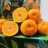 周三取货：【寻味优果大雅柑】一箱毛重9斤左右，又大又甜， 水分足！ 商品缩略图0