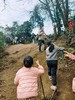 4.18已成团！彭州老鹰岩摘樱桃、挖笋、藤蔓秋千、木梯攀爬、绳索攀登、石板滩速降～ 商品缩略图6