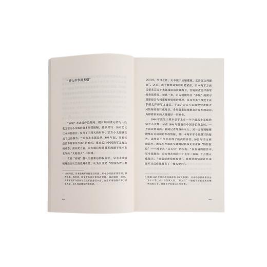 甲午：摇摆的战争（历史学者沙青青最新力作，姜鸣作序，拨开中日甲午之战的层层迷雾，重回决定国运的十字路口） 商品图3