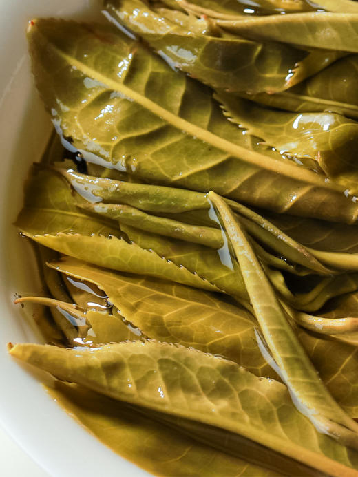 4月15日中午12点【曼夕高杆】2026年春茶预售曼夕头春古树高杆 边境遗珠，仰视森林高杆 勐海味，野韵足！500克/箱 商品图8