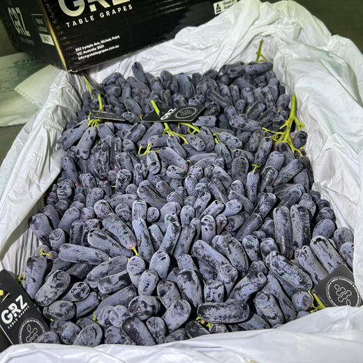 石家庄优选仓库速达，澳洲黑手指 黑提GRZ，果肉颗颗饱满，皮薄脆甜，高甜无籽，2斤散装称重 商品图2