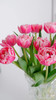 预售15号到货 草莓松饼重瓣郁金香🌷一款很特别的花花 一扎10支支长40厘米 杆粗壮 商品缩略图2