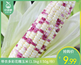 带衣多彩花糯玉米（1.5kg±50g/份）