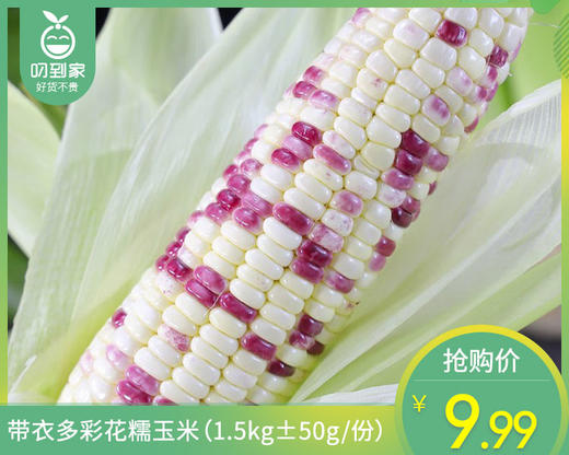 带衣多彩花糯玉米（1.5kg±50g/份） 商品图0